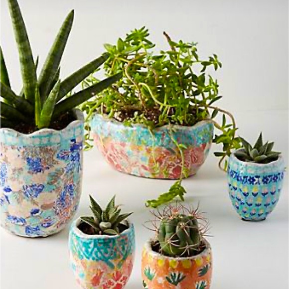 FOUND! Anthropologie Bismarck Planter - Picture 4 of 7